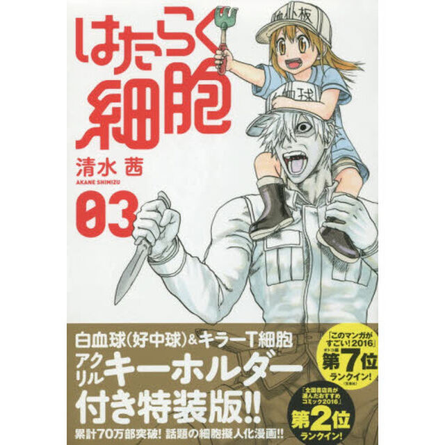 はたらく細胞　　　３　特装版
