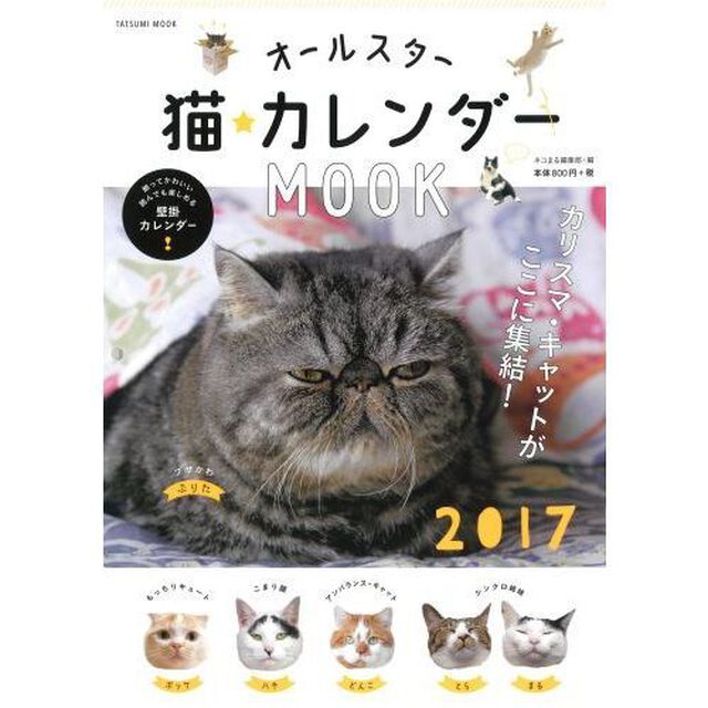 &rsquo;１７　オールスター猫カレンダーＭＯＯＫ