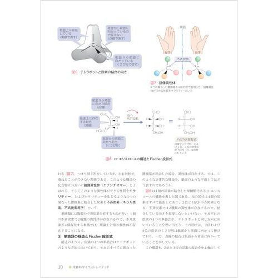食品学　１「改訂第２版」「食べ物と健康　食品の成分と機能を学ぶ」