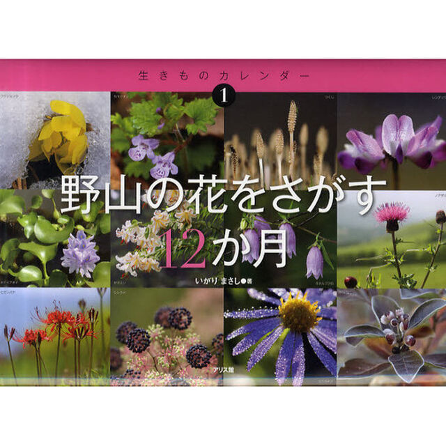 野山の花をさがす１２か月