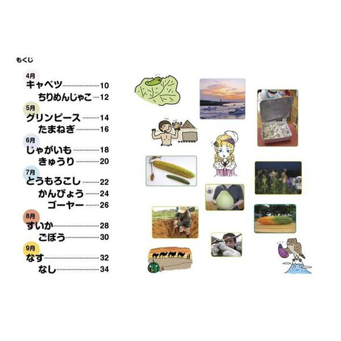 食べ物ふしぎ１０パネル　壁新聞ポスターとパワポスライドで子どもたちの興味・関心を育む　上巻