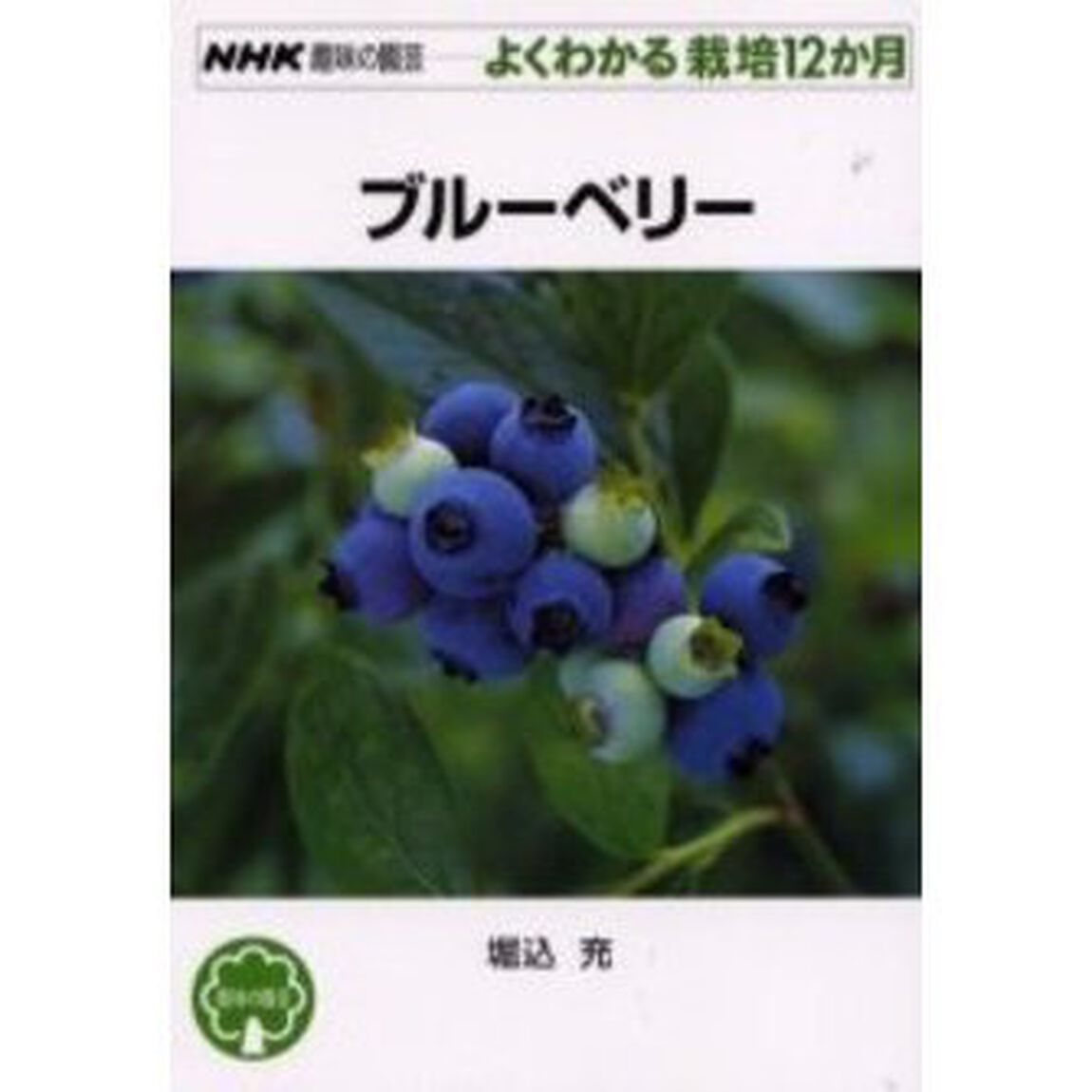 ブルーベリー