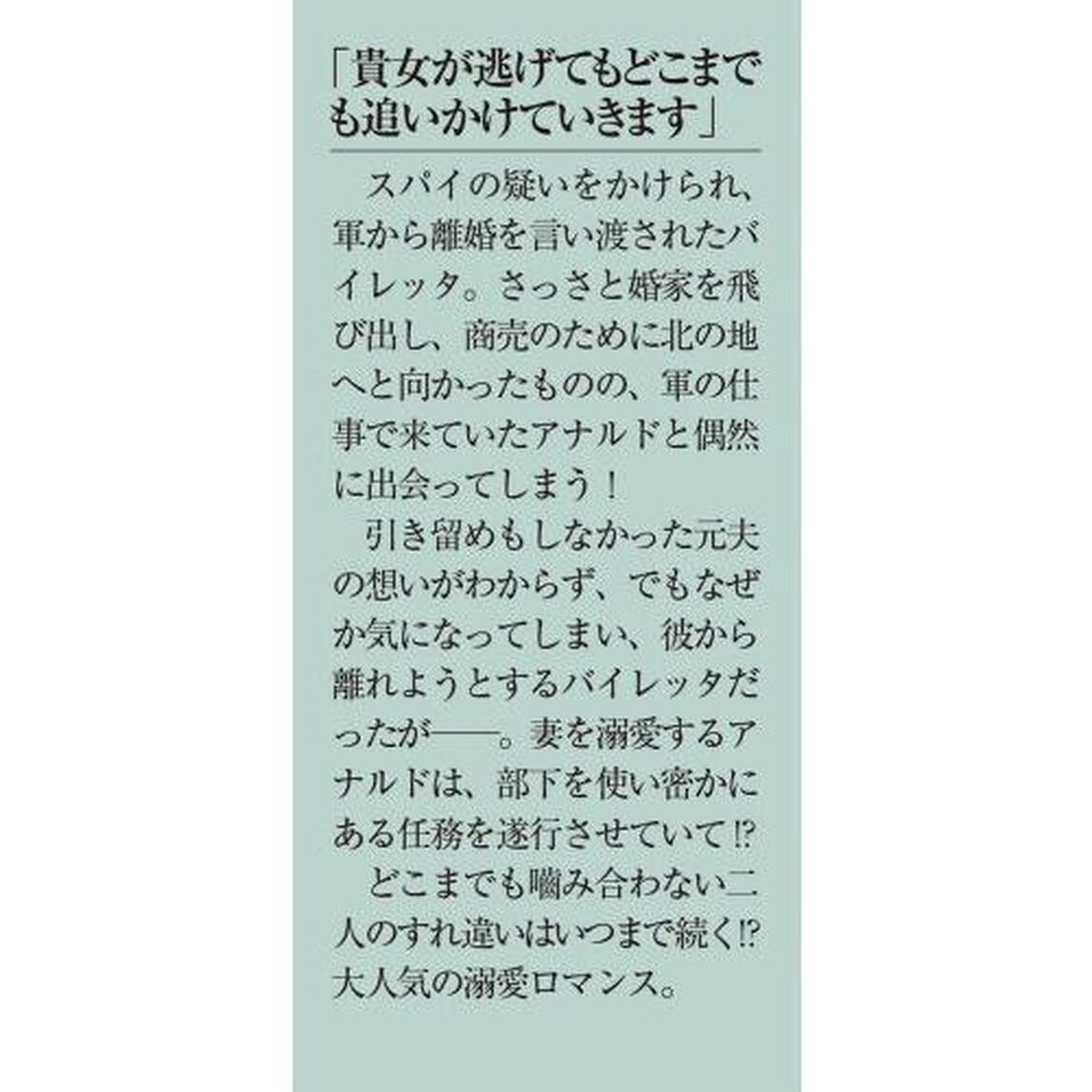 拝啓見知らぬ旦那様、離婚していただきます　２下