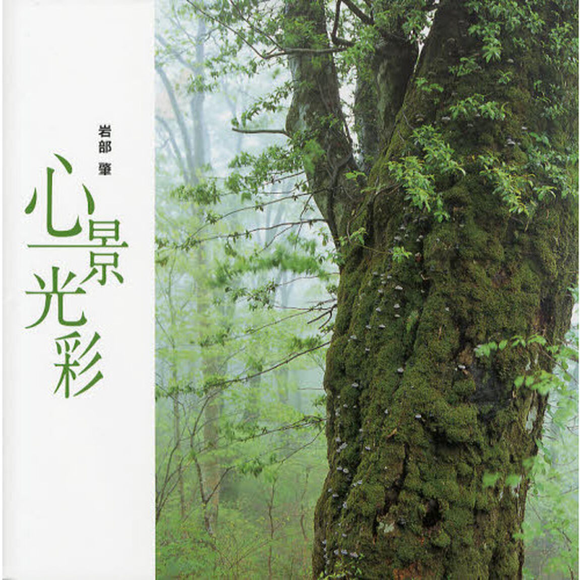 心景光彩