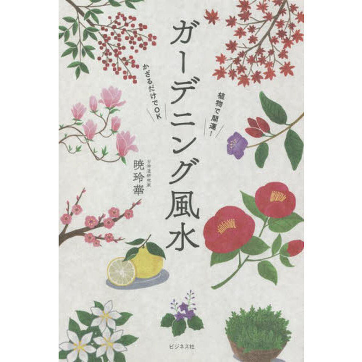 ガーデニング風水　植物で開運！かざるだけでＯＫ