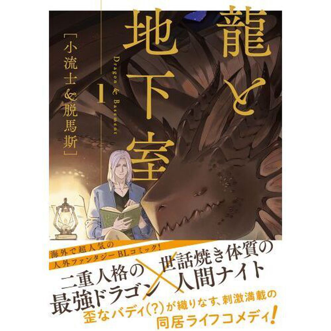 龍と地下室　１