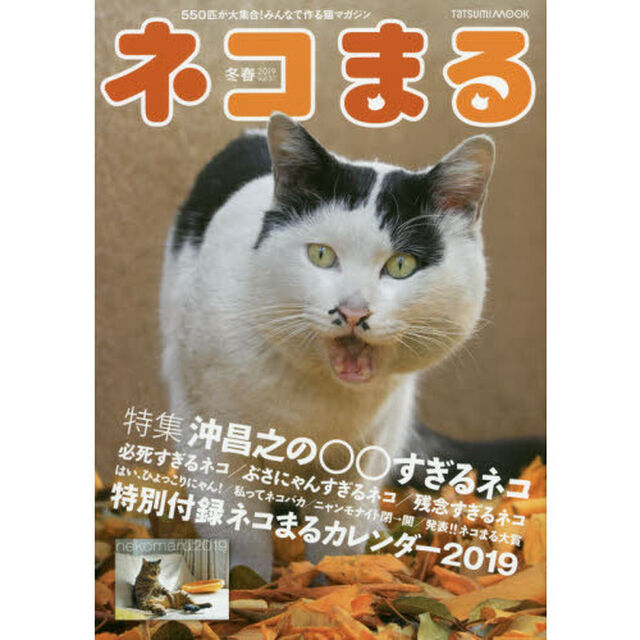 ネコまる　みんなで作る猫マガジン　Ｖｏｌ．３７（２０１９冬春号）「特集沖昌之の○○すぎるネコ」