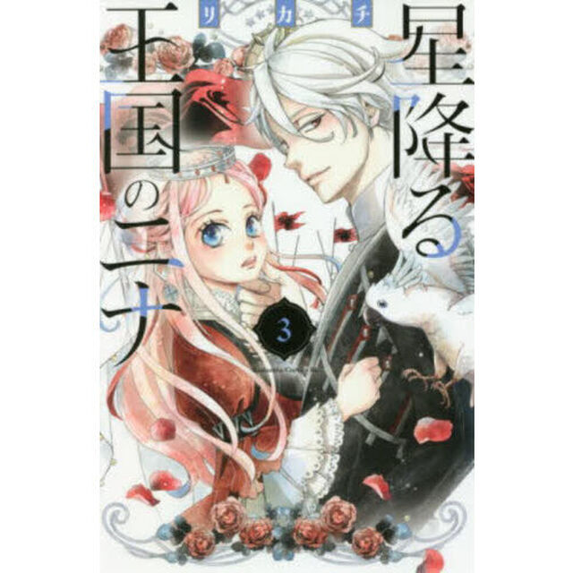 星降る王国のニナ 3