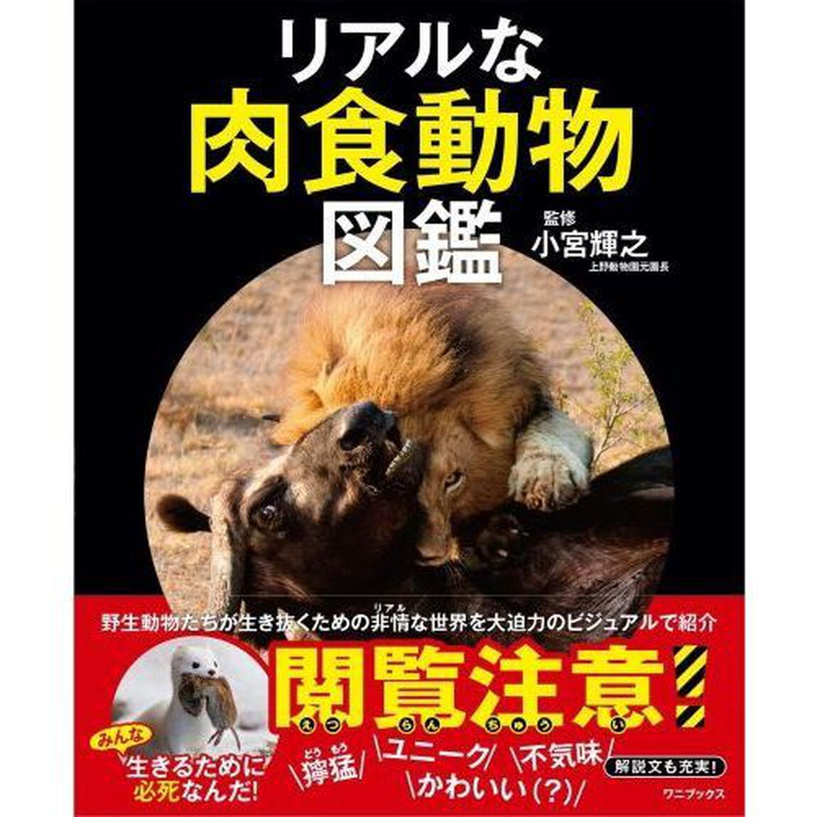 リアルな肉食動物図鑑