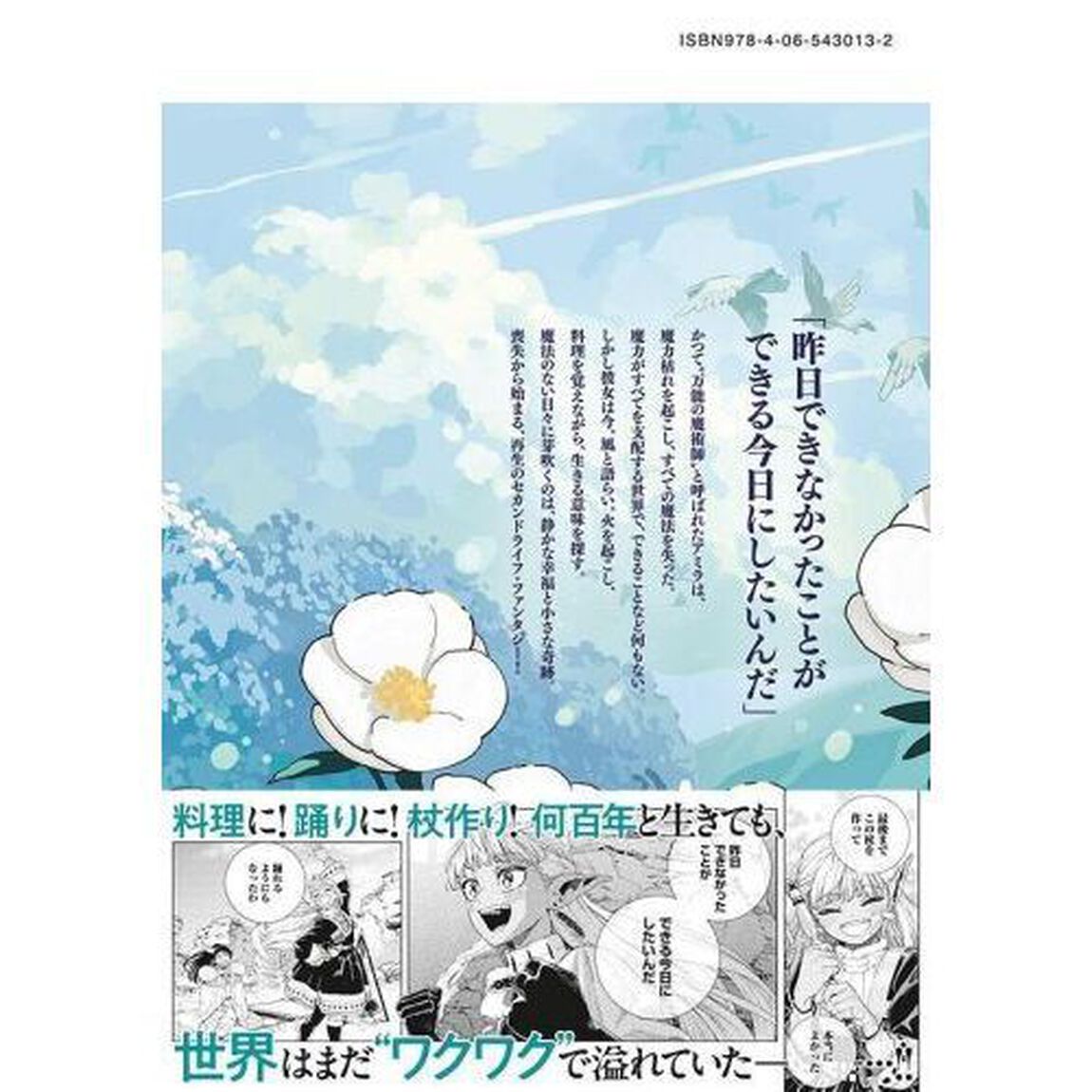 魔力枯れのダークエルフ 1