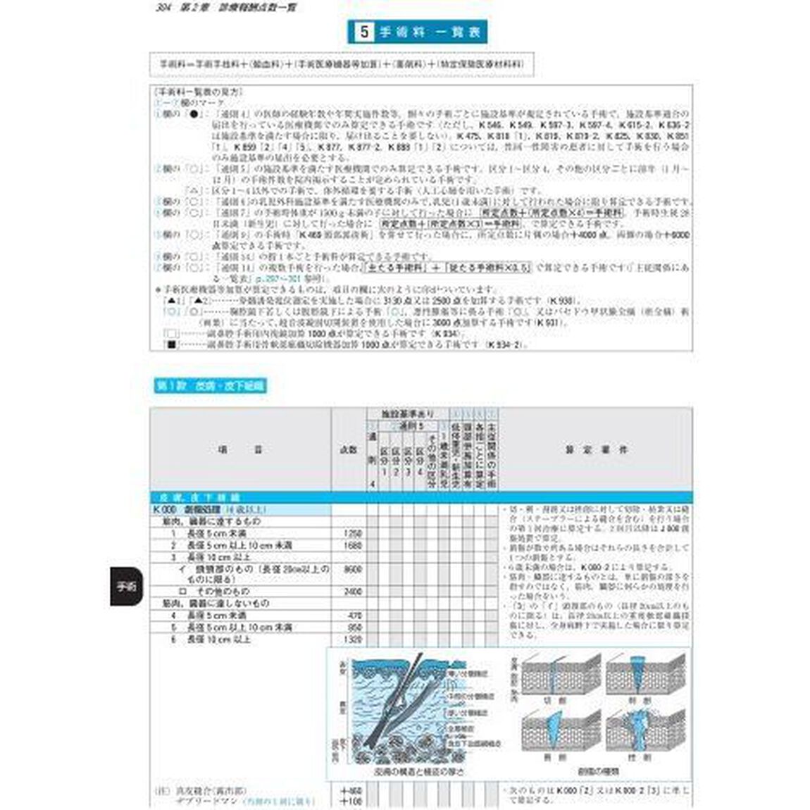 診療報酬・完全攻略マニュアル　ビジュアル速解　２０１９年４月補訂版　点数表全一覧＆レセプト請求の要点解説