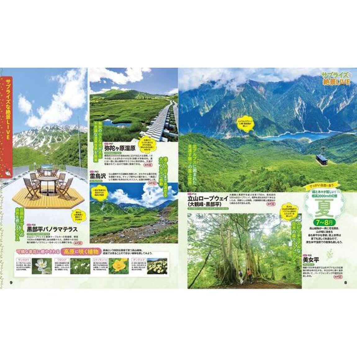 るるぶ立山黒部アルペンルート　&rsquo;２４