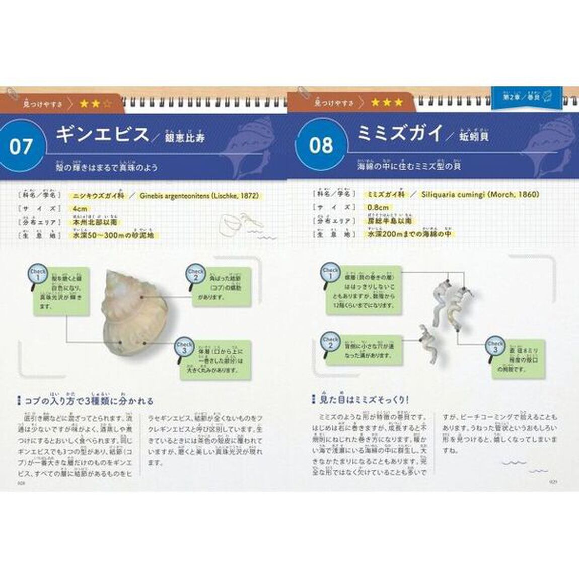 みんなが知りたい！貝殻のすべて　きれいな形や模様の魅力から殻の形成のヒミツまで