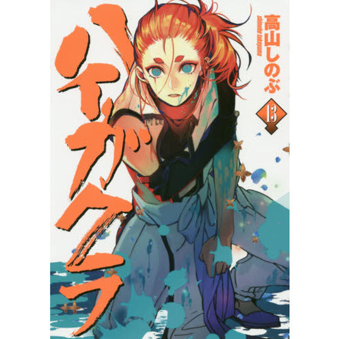 ハイガクラ　　１３