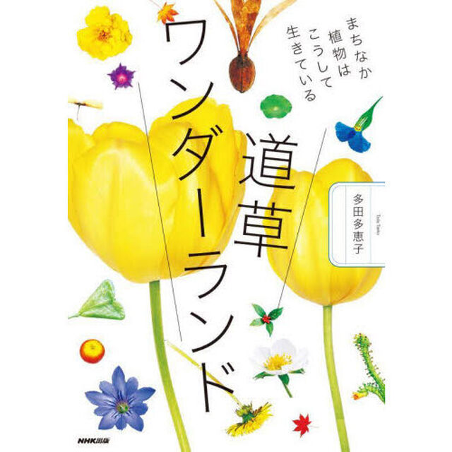 道草ワンダーランド　まちなか植物はこうして生きている
