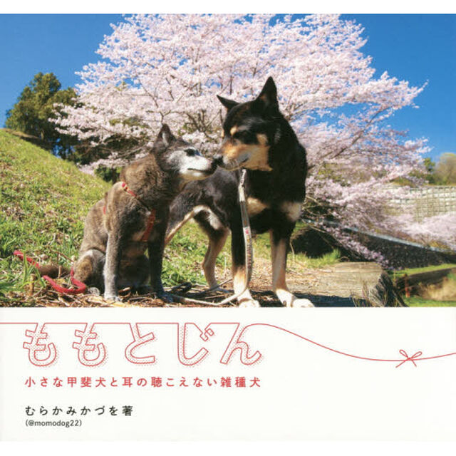 ももとじん　小さな甲斐犬と耳の聴こえない雑種犬