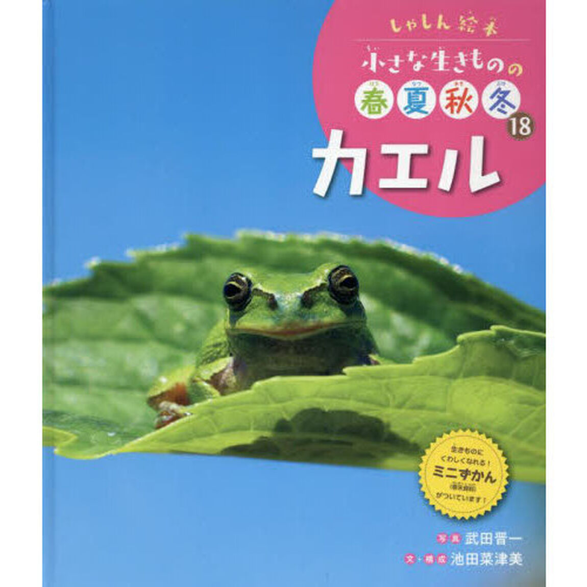 小さな生きものの春夏秋冬　しゃしん絵本　１８「カエル」