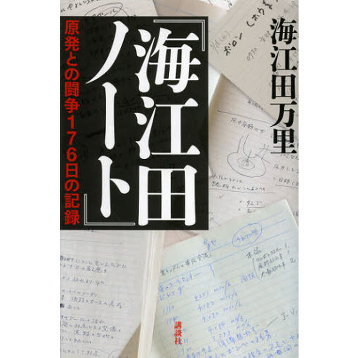 海江田ノート　原発との闘争１７６日の記録