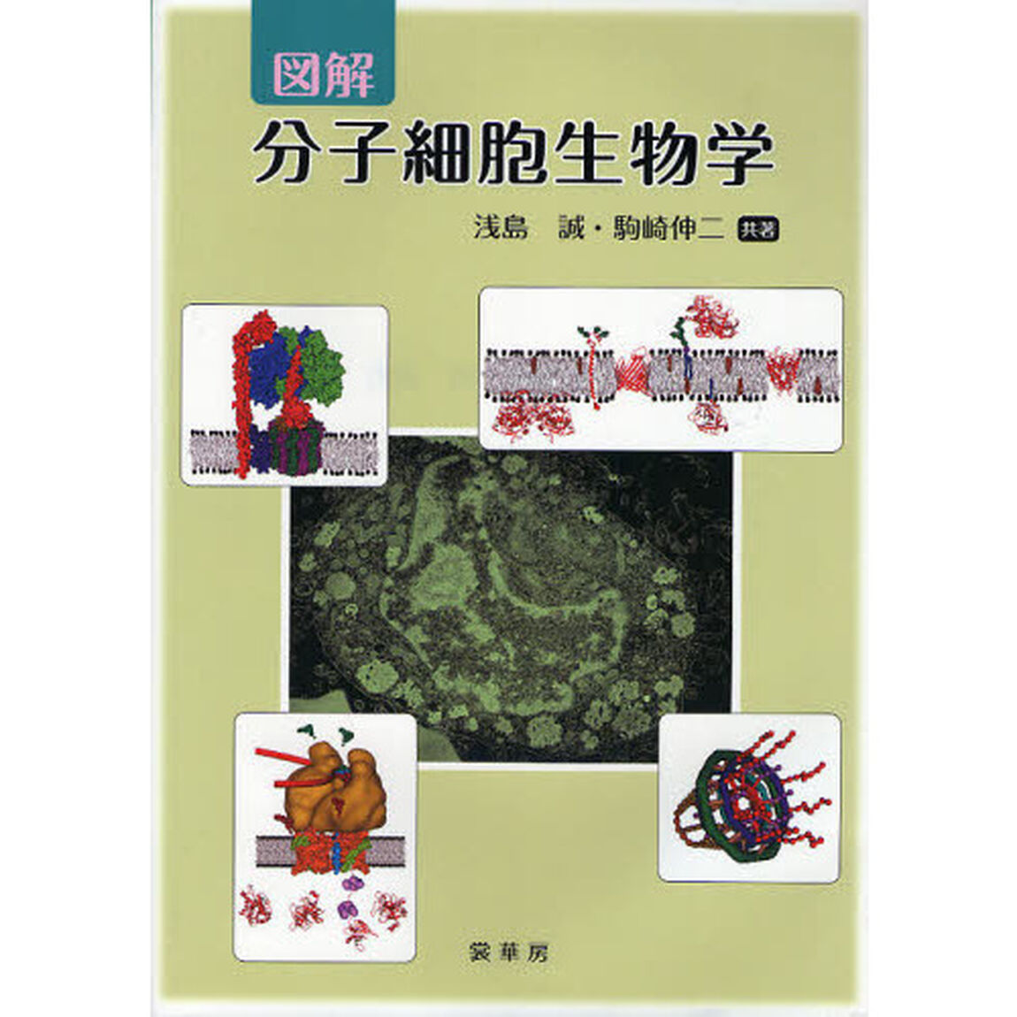 図解分子細胞生物学