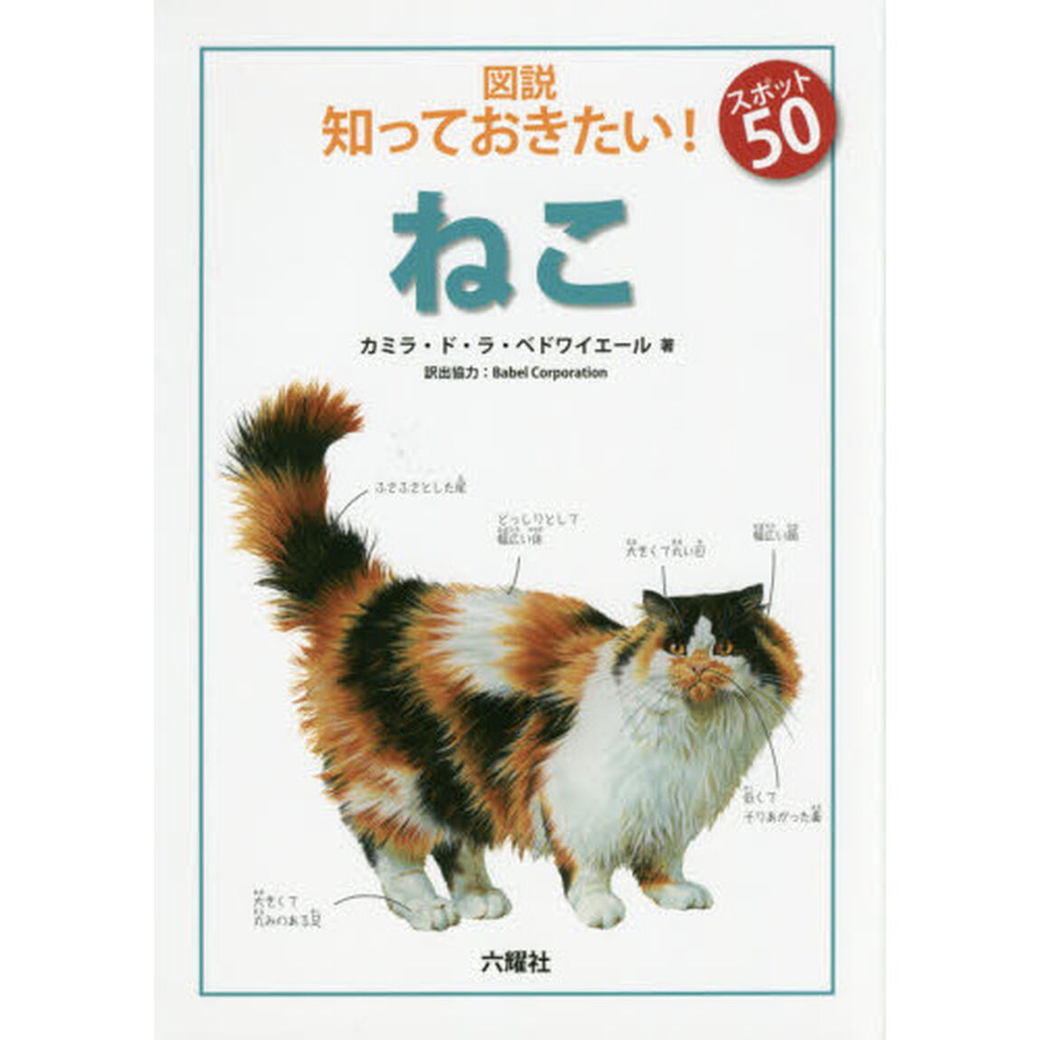 図説知っておきたい！スポット５０ねこ