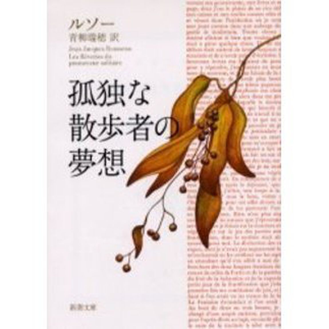 孤独な散歩者の夢想「改版」