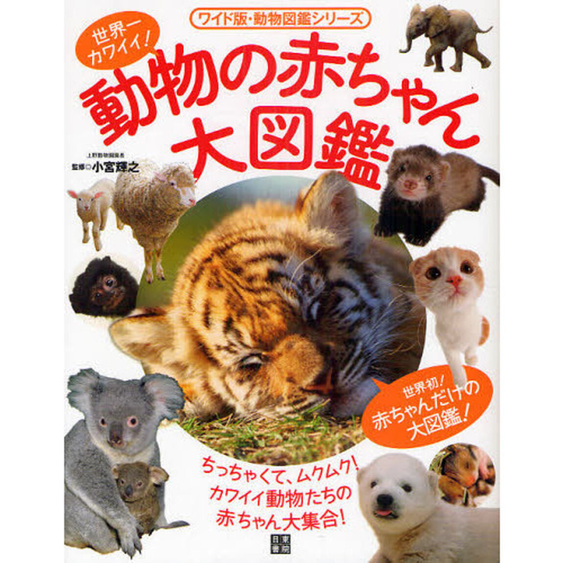 世界一カワイイ！動物の赤ちゃん大図鑑