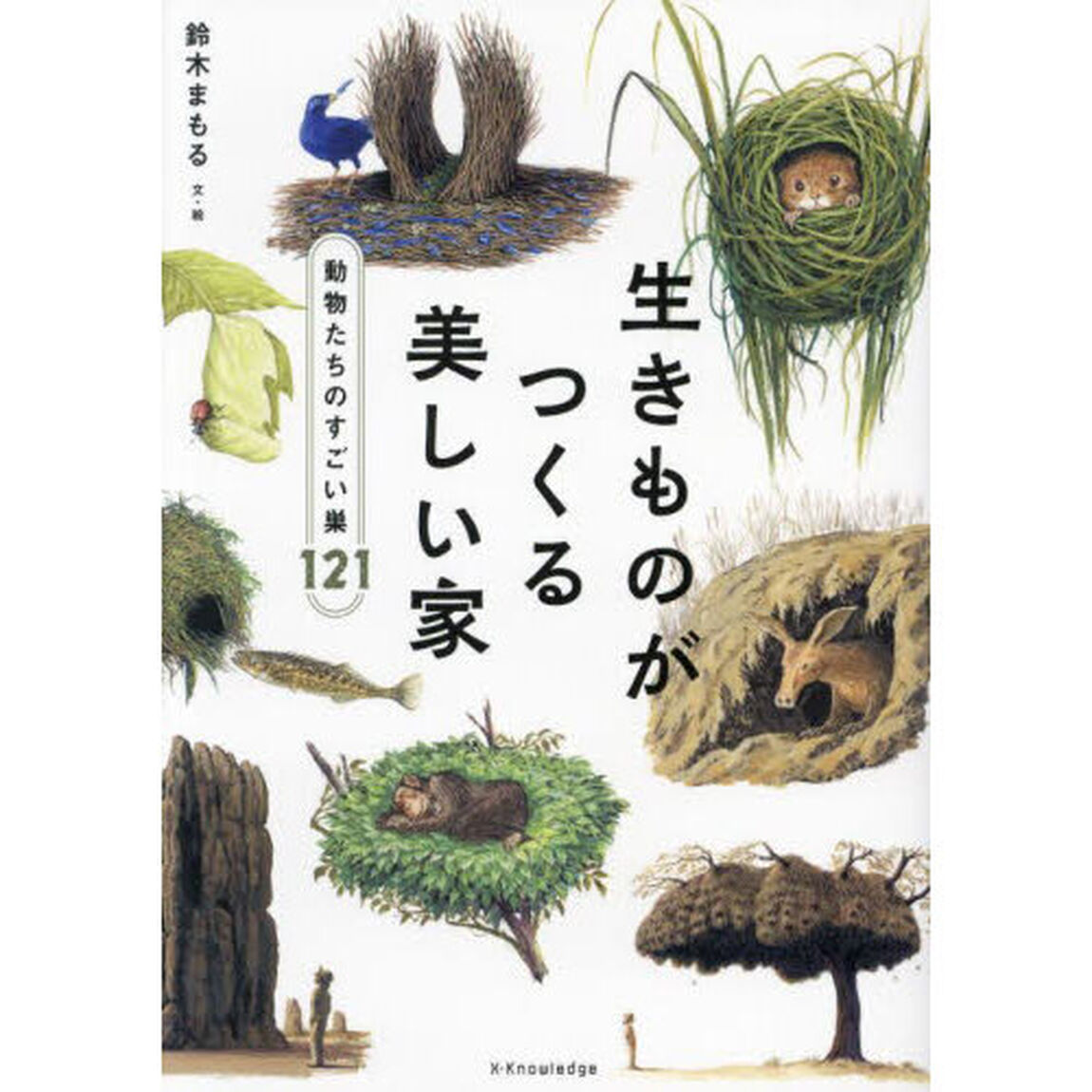 生きものがつくる美しい家　動物たちのすごい巣１２１