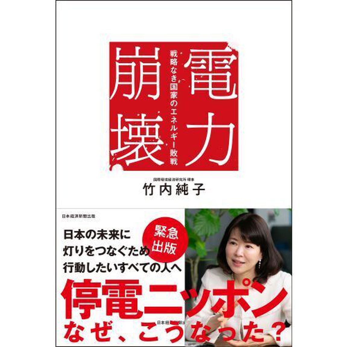 電力崩壊　戦略なき国家のエネルギー敗戦