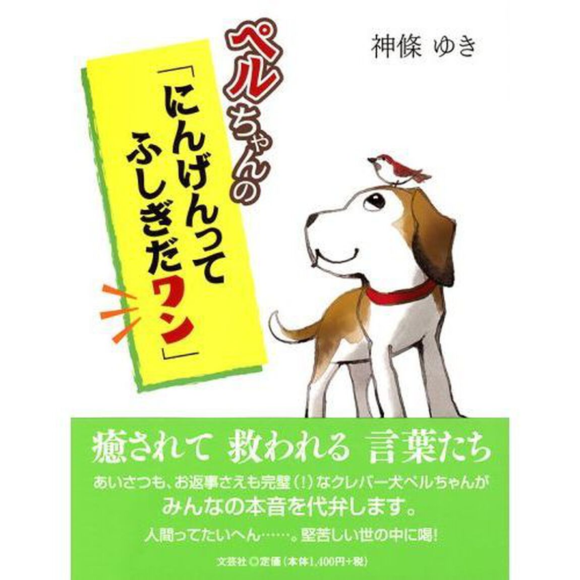 ペルちゃんの「にんげんってふしぎだワン」
