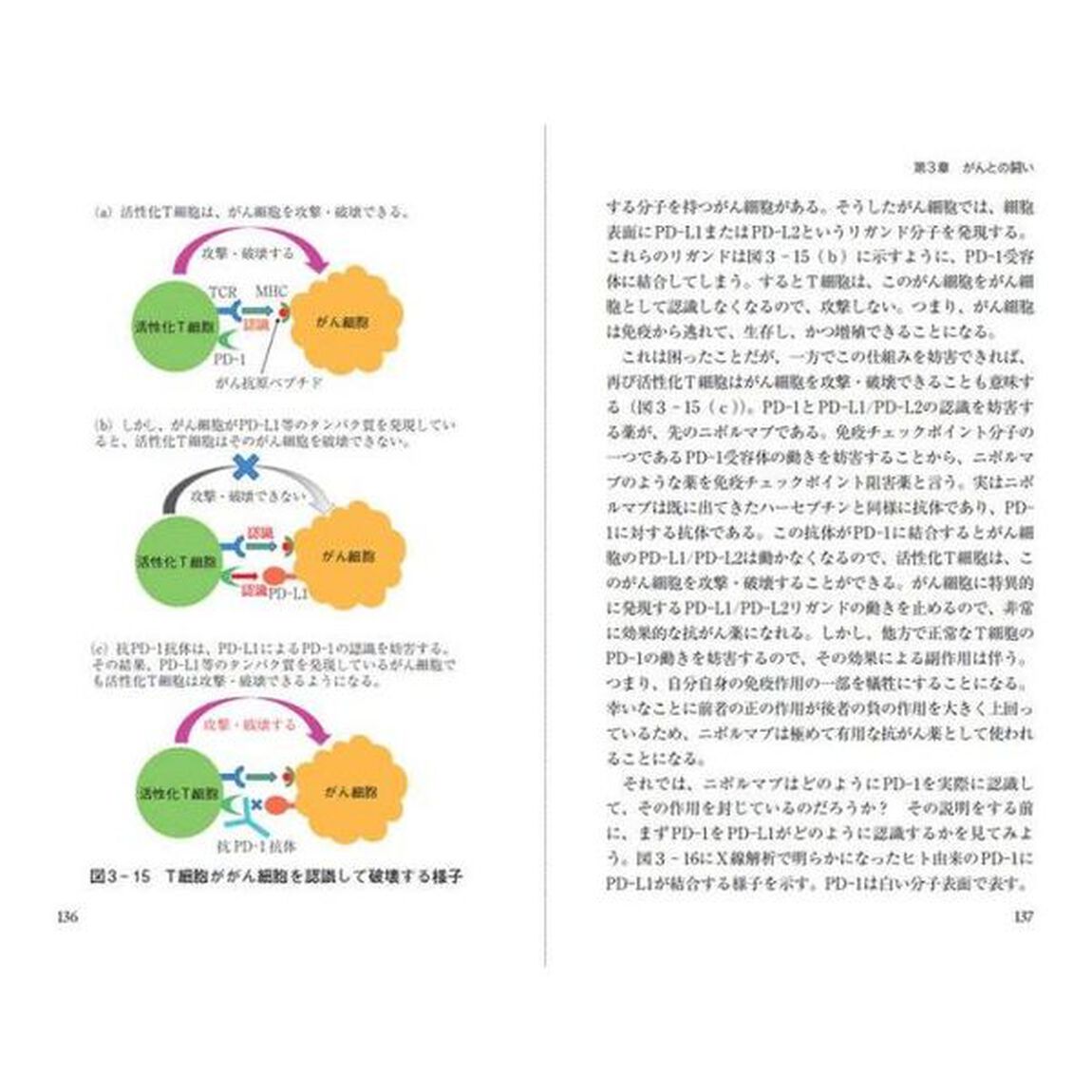 カラー図解分子レベルで見た薬の働き　なぜ効くのか？どのように病気を治すのか？