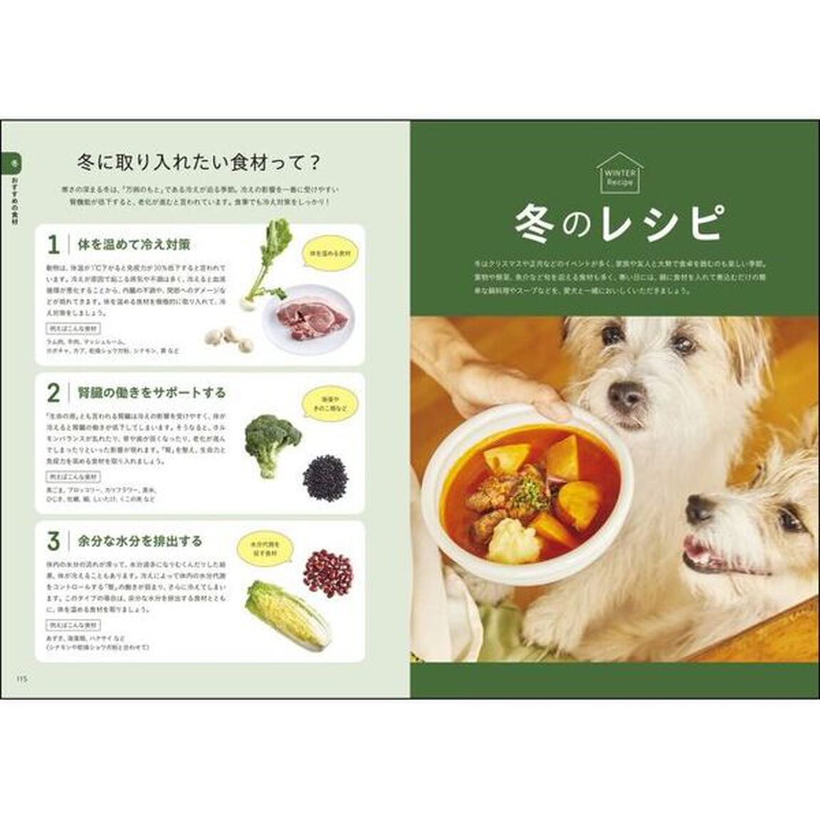 愛犬と家族の毎日ごはん　一緒に作るから、手軽で続けやすい