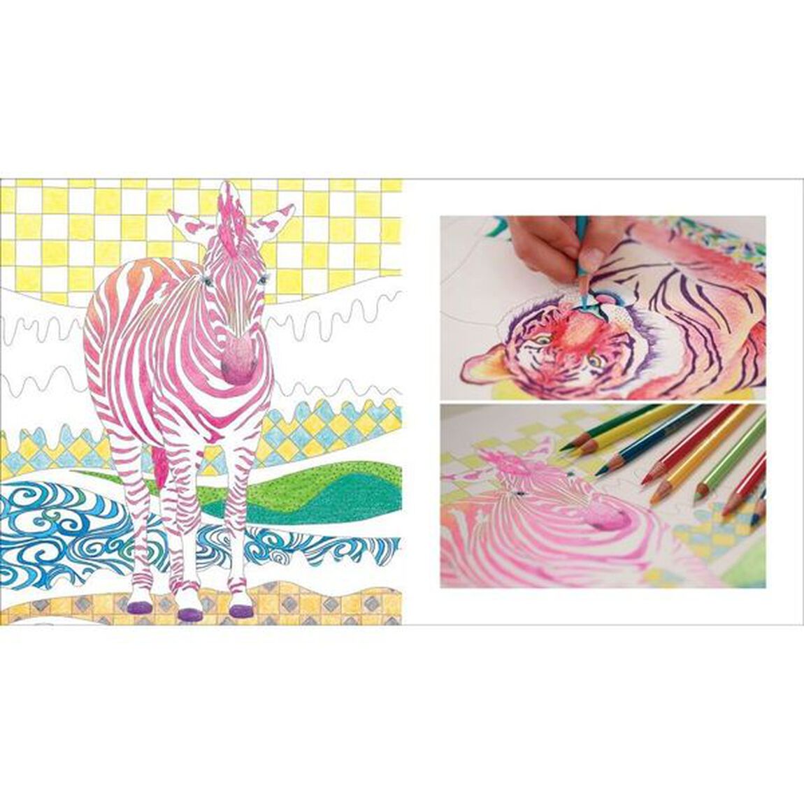 動物たちの楽園　Ｆｕｊｉｙｏｓｈｉ　Ｂｒｏｔｈｅｒ&rsquo;ｓ　ＣＯＬＯＲＩＮＧ　ＢＯＯＫ