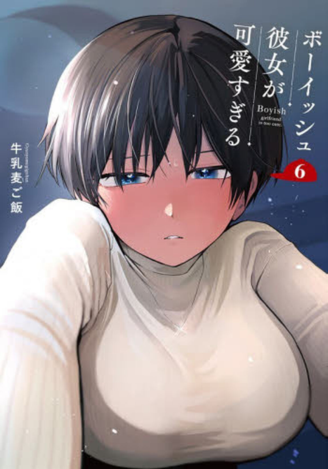 ボーイッシュ彼女が可愛すぎる　６　特装版 小冊子付き
