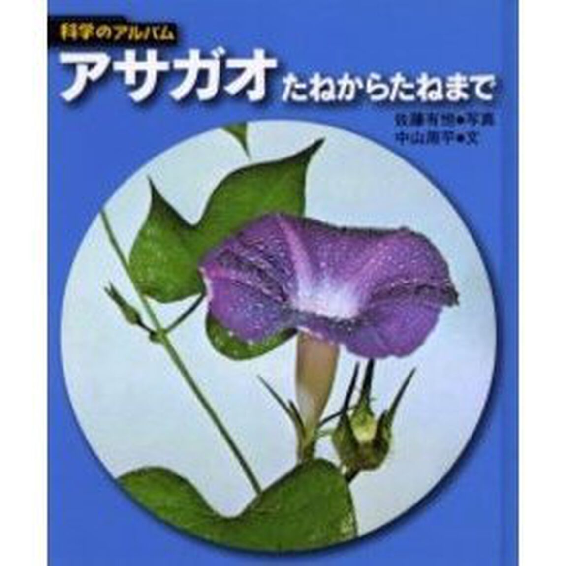 アサガオ　たねからたねまで　新装版