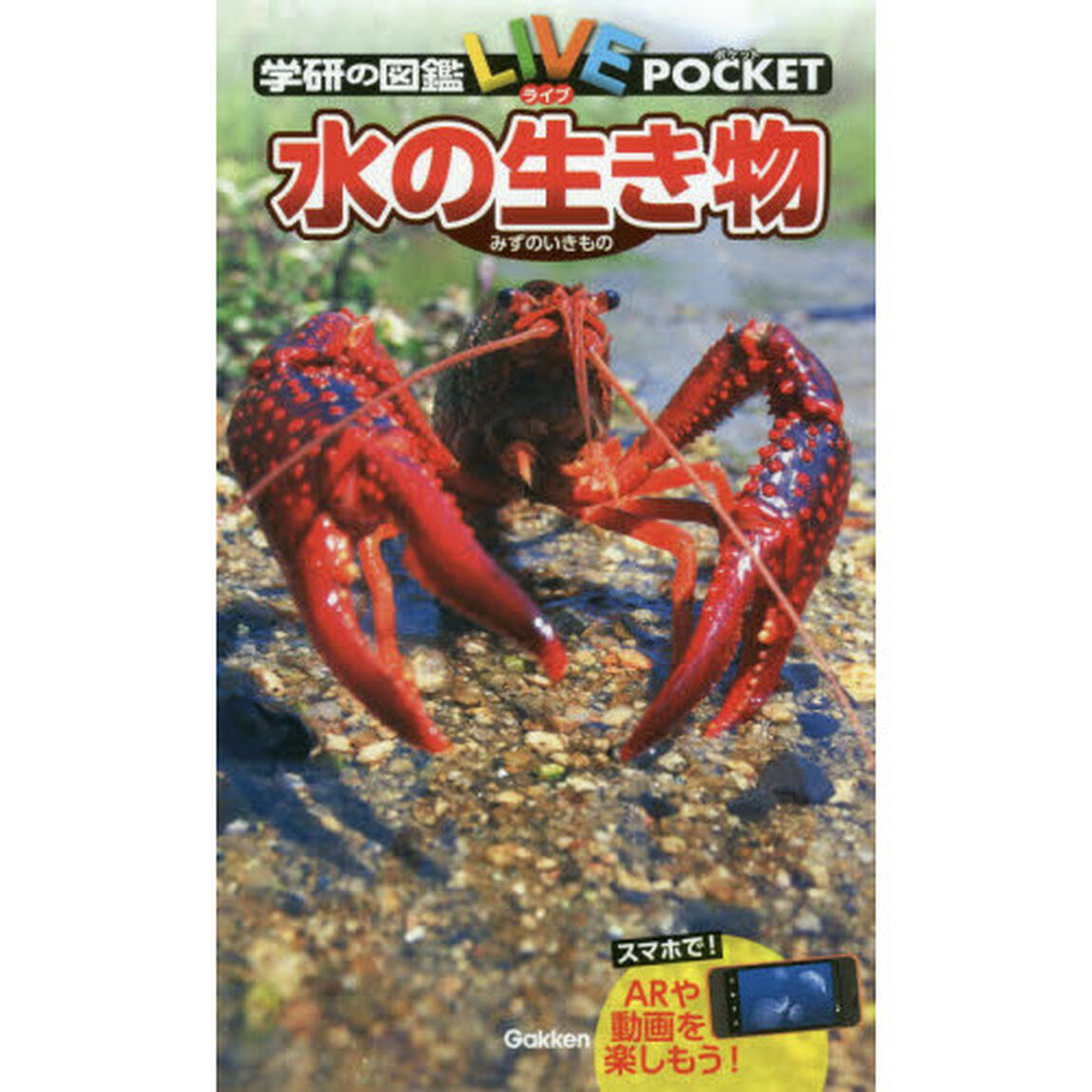 水の生き物