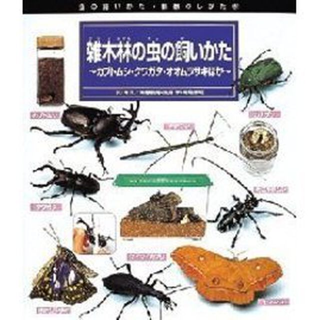 雑木林の虫の飼いかた　カブトムシ・クワガタ・オオムラサキほか