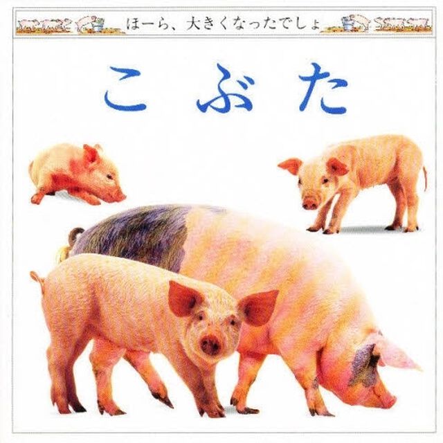 こぶた