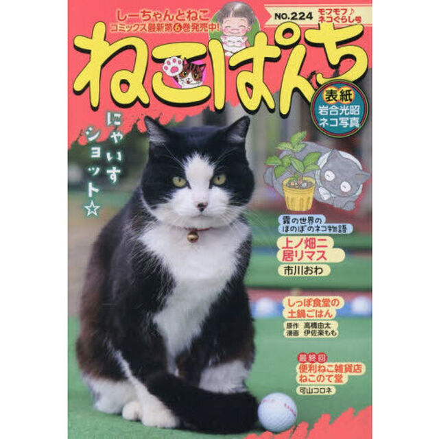 ねこぱんち　モフモフ♪ネコぐらし号