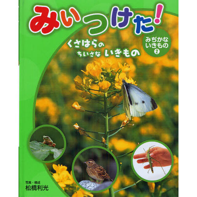 みいつけた！みぢかないきもの　２「くさはらのちいさないきもの」