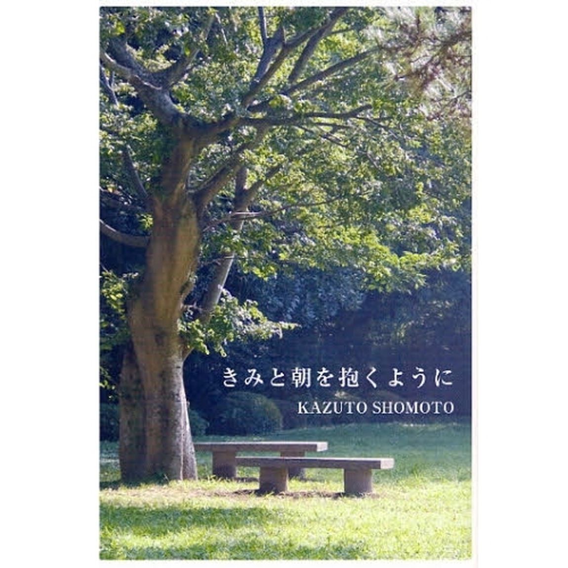きみと朝を抱くように