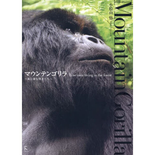 マウンテンゴリラ　森に棲む賢者たち