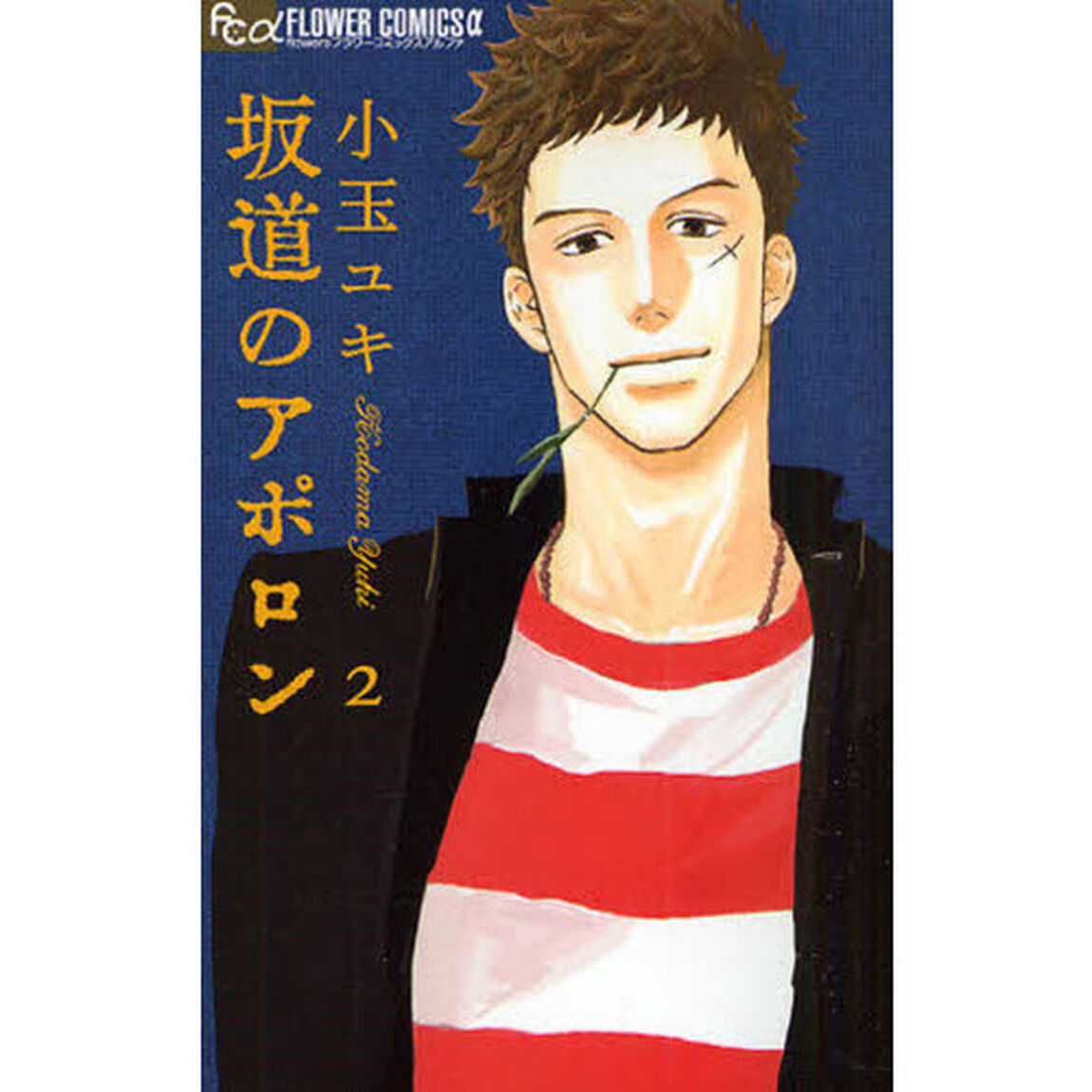 坂道のアポロン　２
