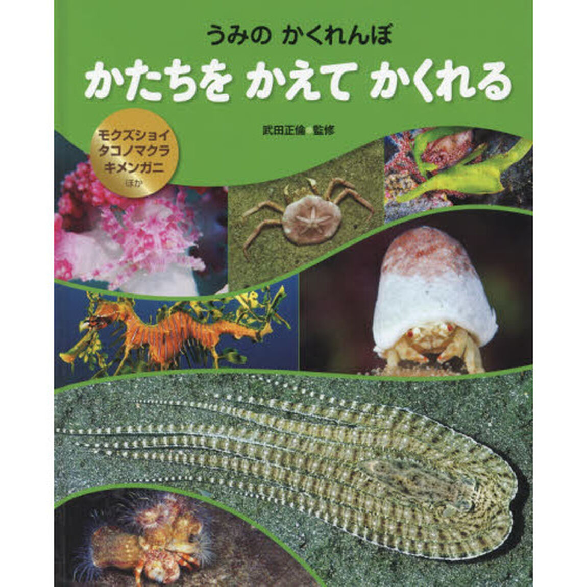 かたちをかえてかくれる　モクズショイ・タコノマクラ・キメンガニほか