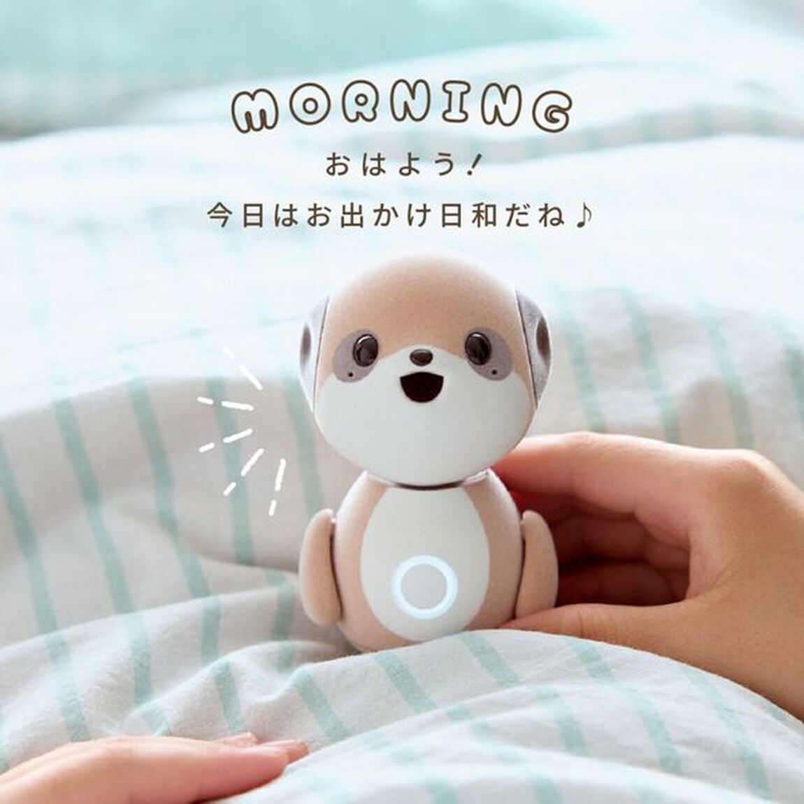 ポケとも