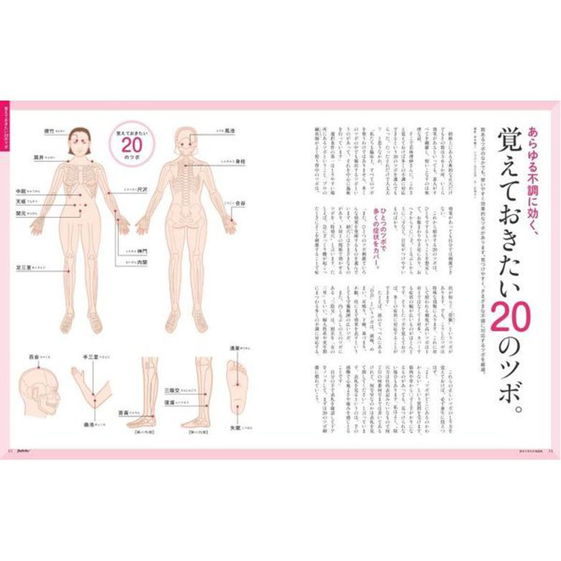 体のツボの大地図帖「最新版」