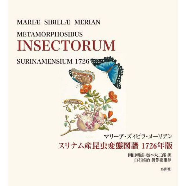 スリナム産昆虫変態図譜　１７２６年版