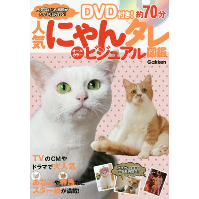 人気にゃんタレビジュアル図鑑　オールカラー　ＴＶのＣＭやドラマで大人気スター猫が満載！