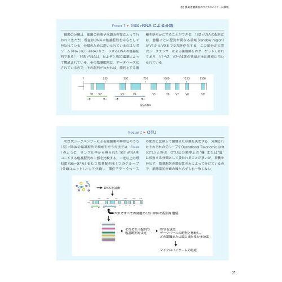 細菌学的アプローチによる歯内療法の臨床　バイオフィルム感染症として捉え解決に導く
