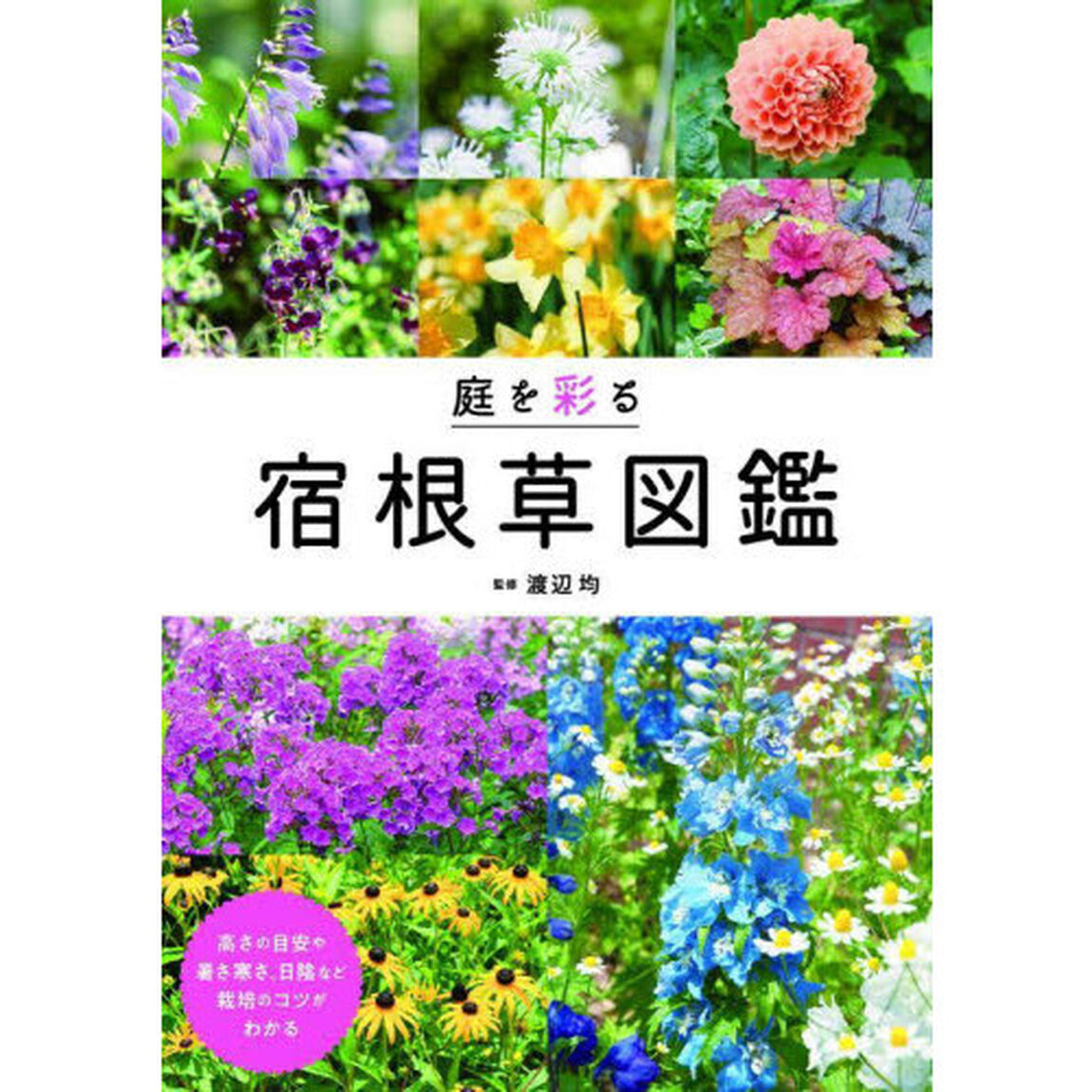 庭を彩る宿根草図鑑　暑さ寒さ、日陰など栽培のコツがわかる