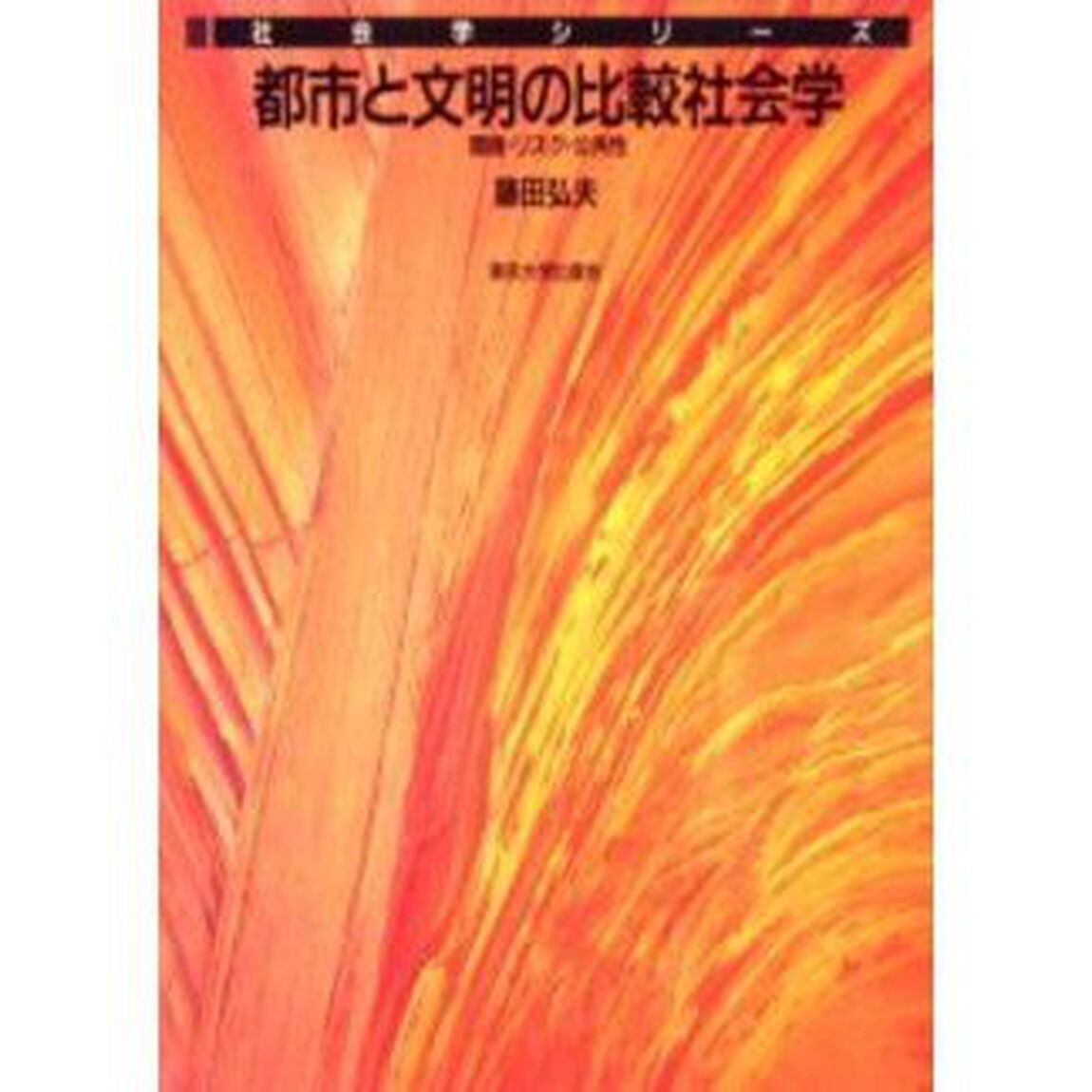 都市と文明の比較社会学　環境・リスク・公共性